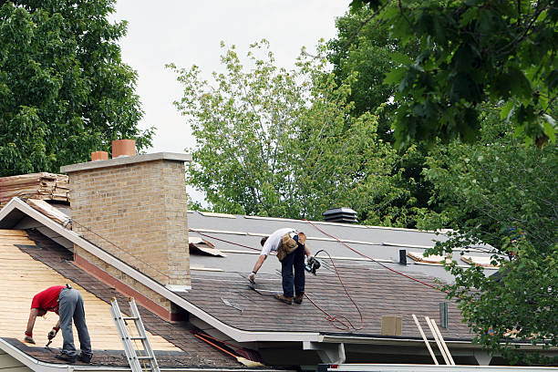 Roof Gutter Cleaning in Guyton, GA